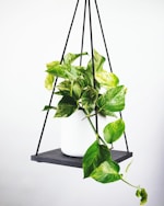 足球明星姆巴佩带球过人